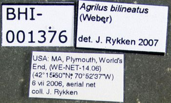 Media type: image;   Entomology 611735 Aspect: labels